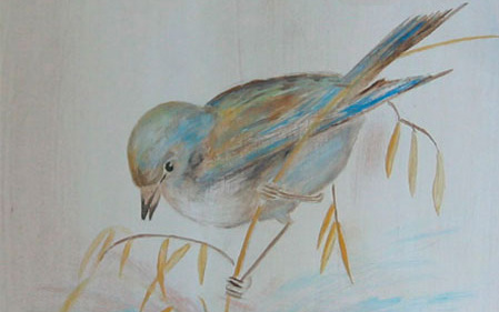 portafolio