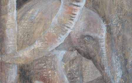 portafolio