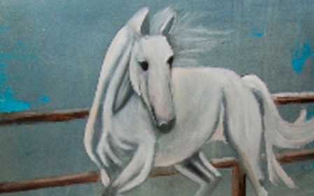 portafolio