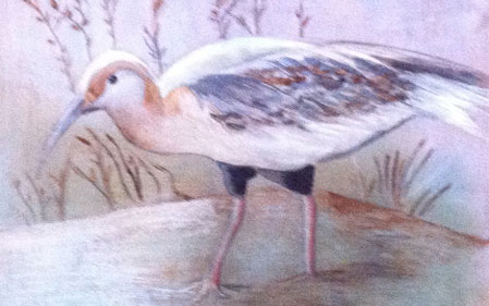 portafolio