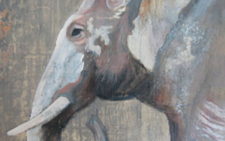 portafolio