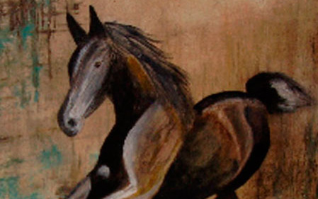 portafolio