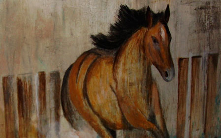 portafolio