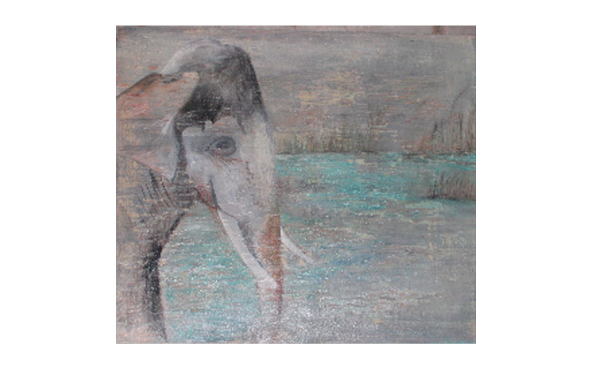 portafolio