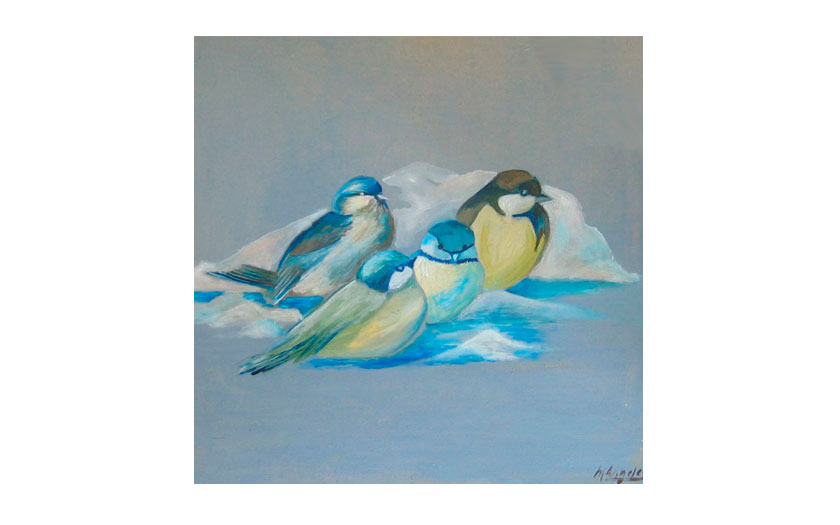 portafolio