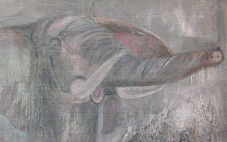 portafolio