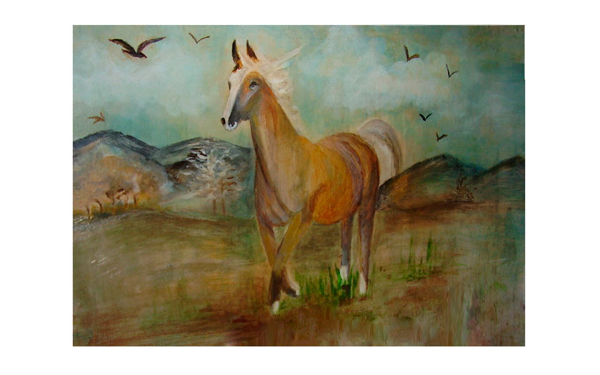 portafolio