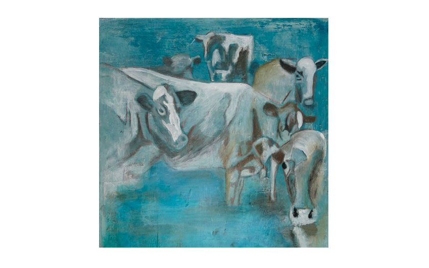 portafolio