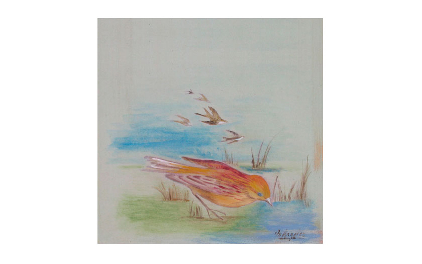 portafolio