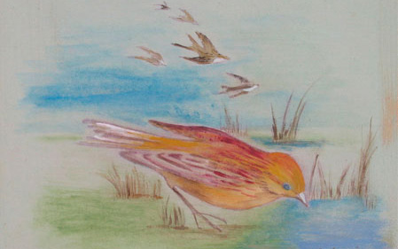 portafolio