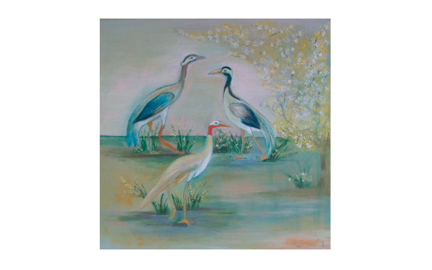 portafolio